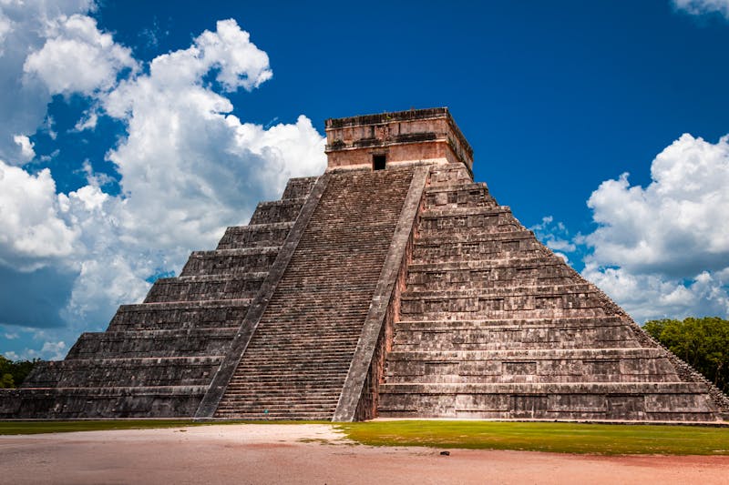 Donación directa conservación animal