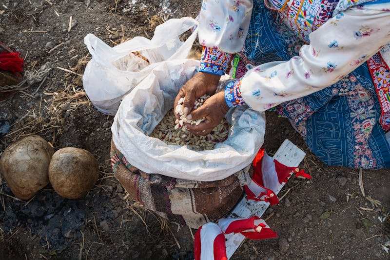 Noche en el zoo Loro Parque